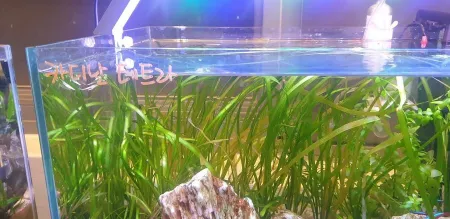 Link Zoo Cheonan Main Branch