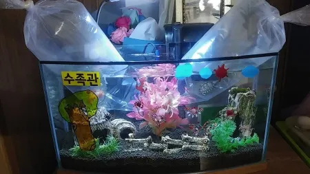 Fish House