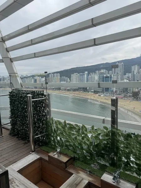 The Wave Pension